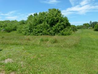 414 86th Ave, Okeechobee, FL 34974-1530