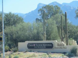2969 Stepping Stone Ct, Tucson, AZ 85741-1390