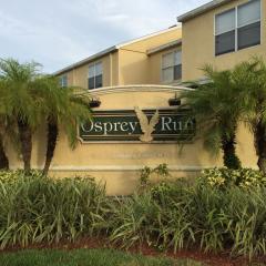 6250 Osprey Lake Cir, Riverview FL  33578-8908 exterior