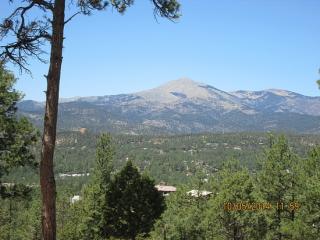 223 Timberline Dr, Ruidoso, NM 88345-7736