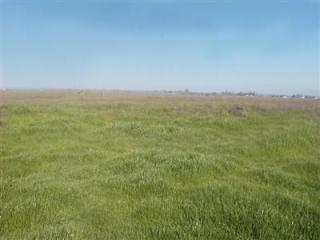 29325 Carter Rd, Escalon, CA 95320-8543