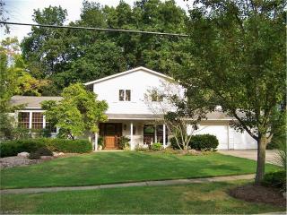 360 Woodland Dr, Medina, OH 44256-2048