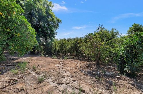 2595 Gibson St, Riverside CA  92503-6329 exterior