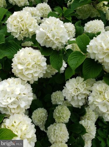 1139 Wilson Ave, Glen Mills PA  19342-9610 exterior