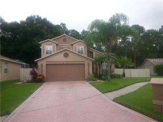 16007 Royal Aberdeen Pl, Odessa, FL 33556-5701