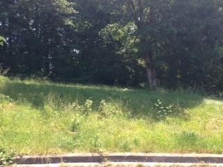 101 18th Ave, Battle Ground WA  98604-4611 exterior