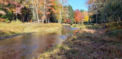 496 Old White Lake Tpke, Swan Lake, NY 12783-6319