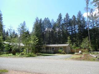 155 Cowlitz View Dr, Packwood, WA 98361-9707