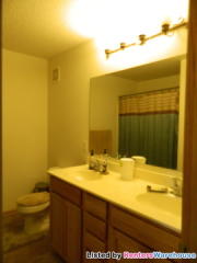 1519 Coneflower Ln, Prior Lake, MN 55379-5853