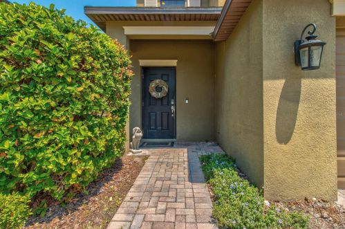 12473 Longstone Ct, New Port Richey, FL 34655-7262