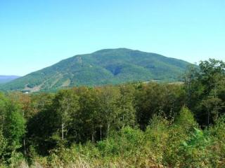 10 Sugarbush Rd, Brownsville, VT 05037