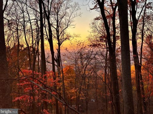 185 Baptist Ln, Linden VA  22642-5660 exterior