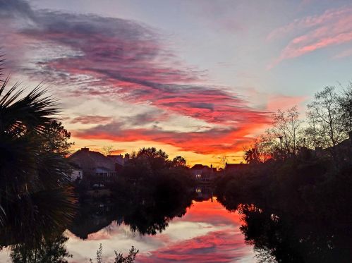 175 Oak Pt Lndg Dr, Mount Pleasant SC 29464-6279 exterior