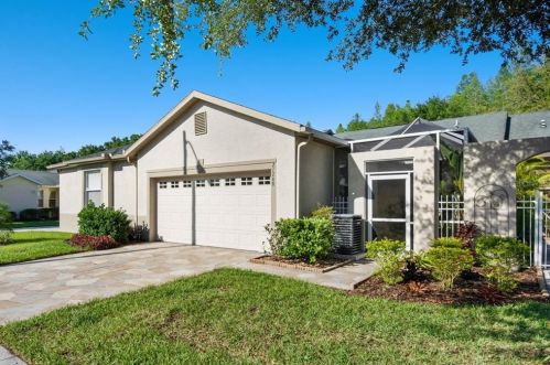 21248 Diamonte Dr, Land O Lakes, FL 34637-7560