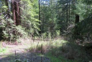 16150 Bittner Rd, Occidental, CA 95465-9223