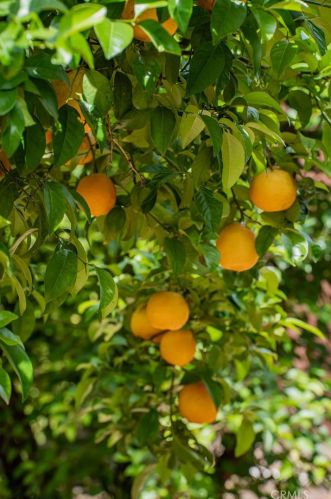 20340 Myron St, Perris CA  92570-9371 exterior