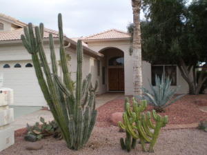15481 Amelia Dr, Goodyear, AZ 85395-8808
