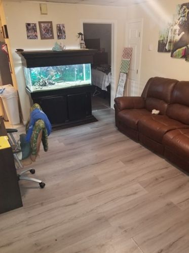 41 Donnelly St, Fall River MA  02723 exterior