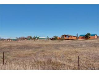 7909 Jones Rd, Palmer Lake, CO 80118-5304