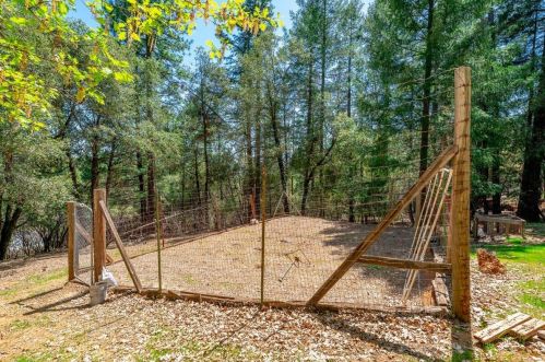 6279 Green Leaf Ln, Michigan Bluff CA  95631-9617 exterior