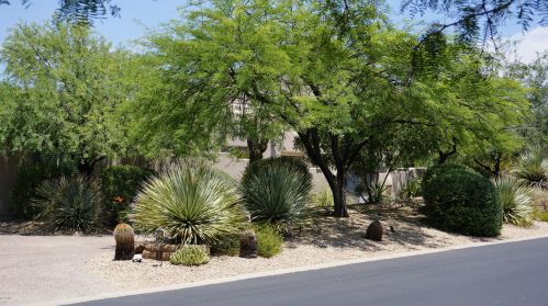 24200 Alma School Rd, Scottsdale, AZ 85255-3000