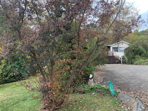 139 Wen Dell Ln, Ruffs Dale, PA 15679-1716