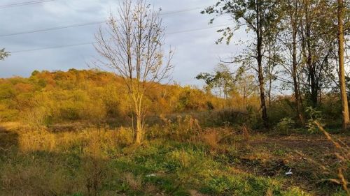 276 Edgington Rd, Lyndon, OH 45681-9764