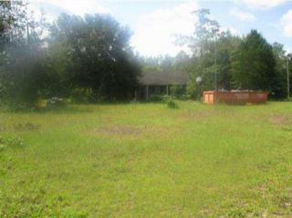 10559 Hampton Ln, Altha, FL 32421-2431