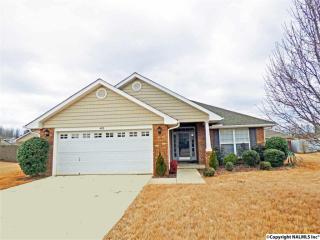 403 Summer Cove Cir, Madison AL  35757-7582 exterior