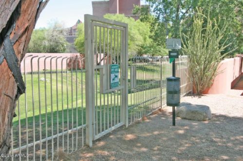 4303 Cactus Rd, Phoenix AZ  85032-7637 exterior