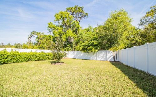 11848 Frost Aster Dr, Riverview FL  33579 exterior