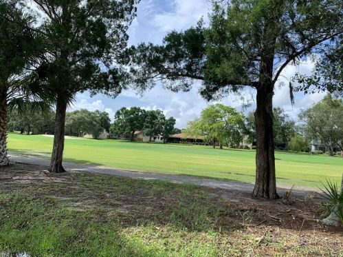 252 Cypress Ln, Oldsmar FL  34677-2131 exterior