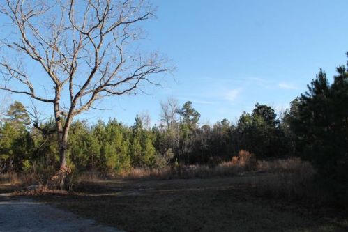 3969 Highway 45, Cross, SC 29436-3183