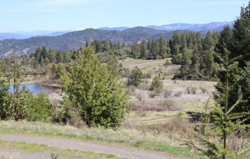 28901 Skyview Rd, Willits CA  95490-8420 exterior