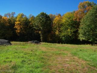 61 Clinton Dr, Factoryville, PA 18419-2607