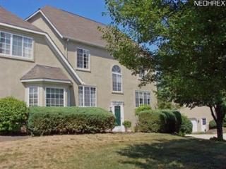 10375 Cobblestone Ln, Twinsburg, OH 44087-1468