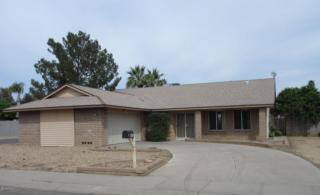 4816 Caron St, Glendale, AZ 85302-3622