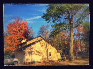 98 Waldron Ln, North Greenbush, NY 12198-8650