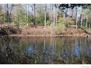 10105 Branner Woods Ct, Mechanicsville, VA 23116-4902