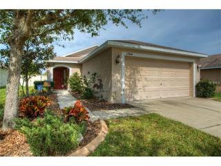 17444 New Cross Cir, Lithia, FL 33547-4916