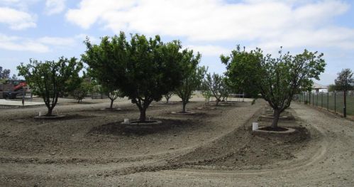 505 Caballo Ct, Hollister CA  95023-9055 exterior