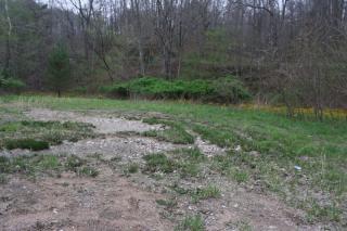 1 Flat Fork Rd, Strange Creek, WV 25063-9333