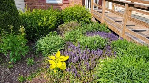 1205 Brierwood Dr, Somerset PA  15501-2775 exterior