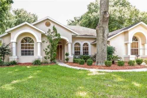 23336 Sunset Vw, Mount Plymouth, FL 32776-8517
