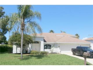 2313 Sand Bay Dr, Tarpon Springs, FL 34691-9609