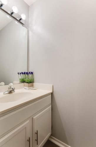 8582 Brinkley Ln, Inver Grove Heights MN  55076-5115 exterior