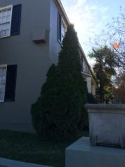 517 Clayton St, Montgomery AL  36104-3310 exterior