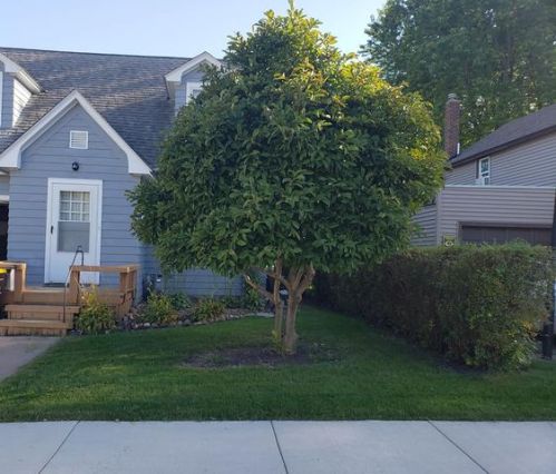 710 3rd St, Fairmont, MN 56031-4005