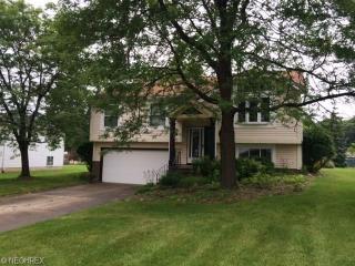 10309 Belmeadow Dr, Twinsburg, OH 44087-1156