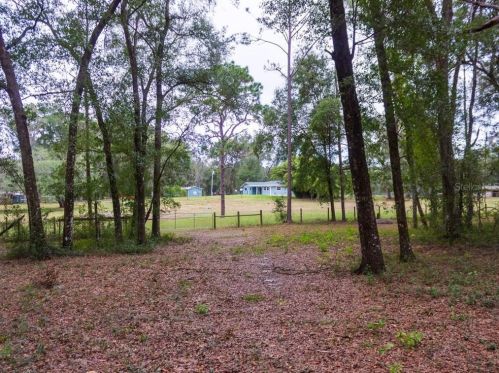 11900 Istachatta Rd, Floral City FL  34436-4329 exterior